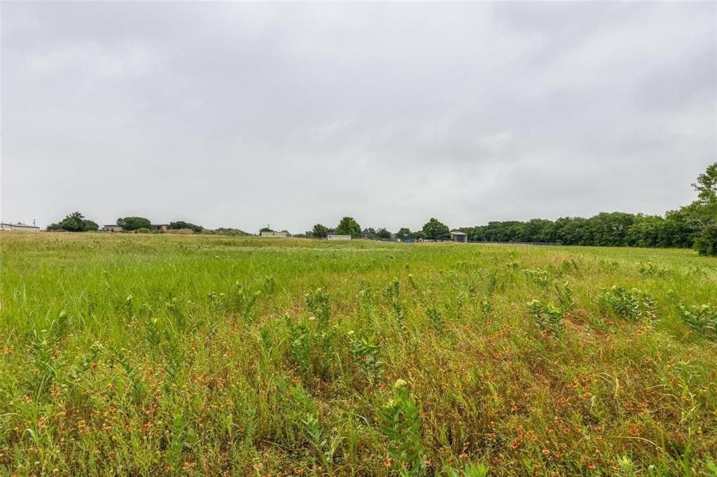 5.04 acres in Collin County - photo 8