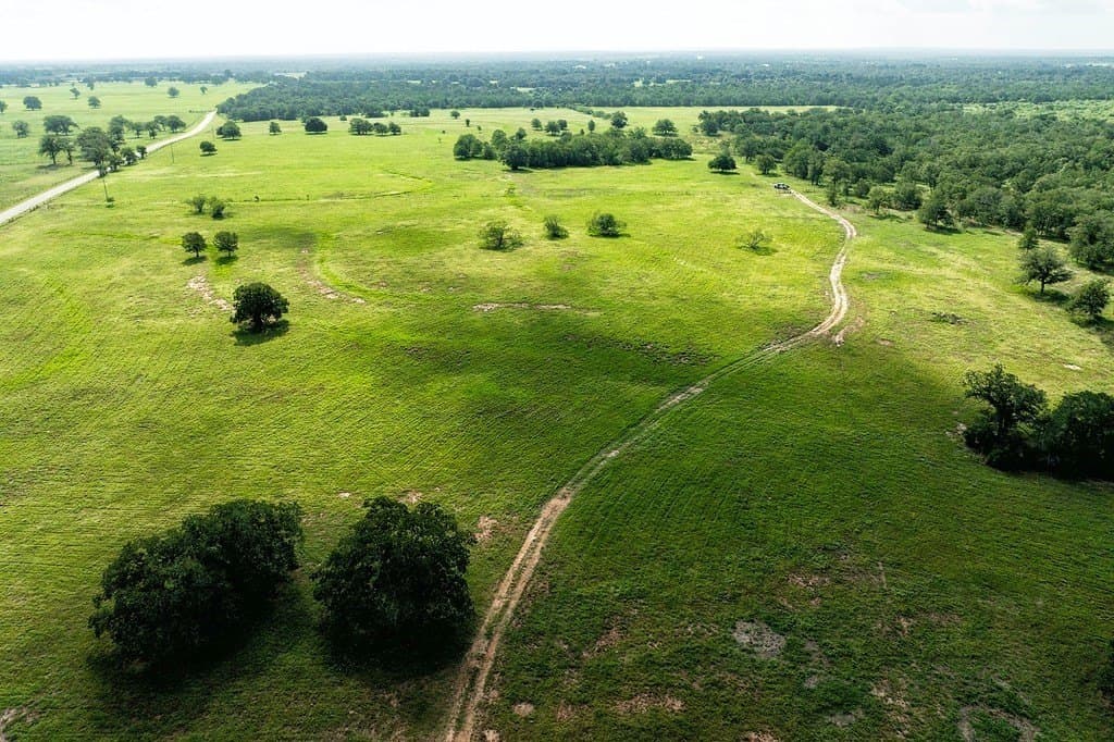 155.95 acres in Fayette County - photo 4
