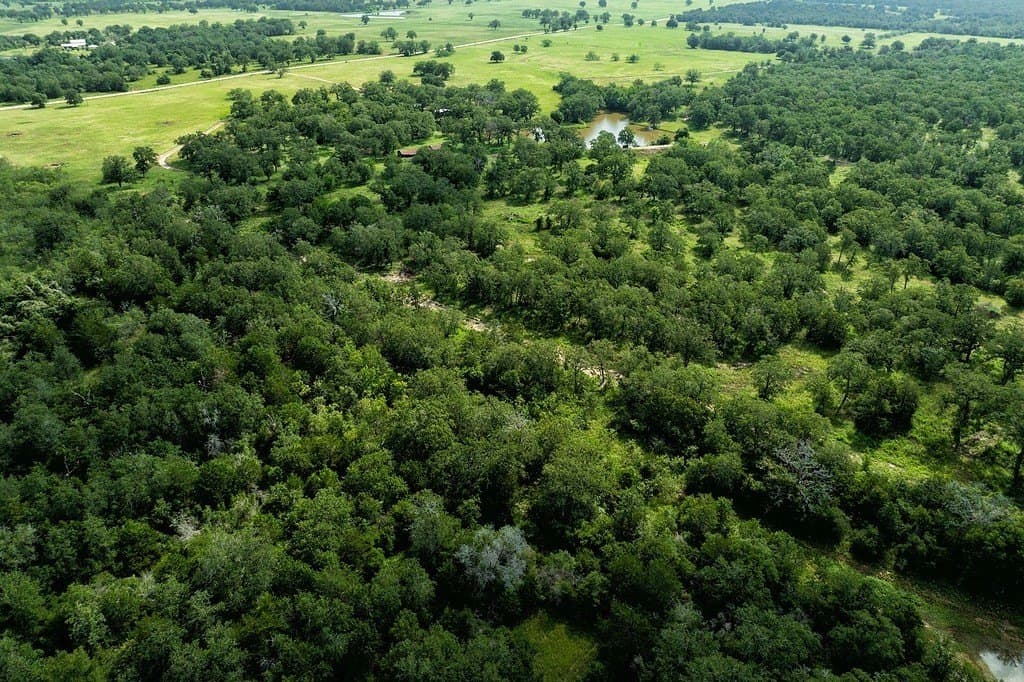 155.95 acres in Fayette County - photo 10