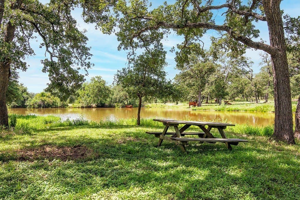 155.95 acres in Fayette County - photo 8