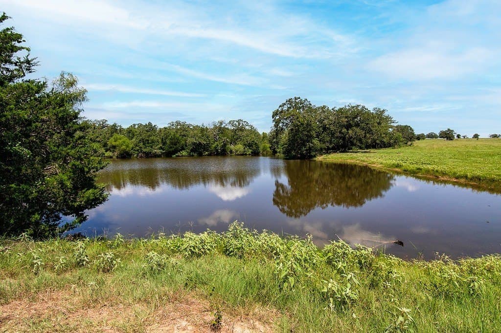 155.95 acres in Fayette County - photo 5