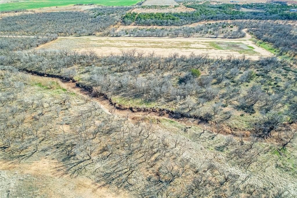 69.5 acres in Jones County - photo 8