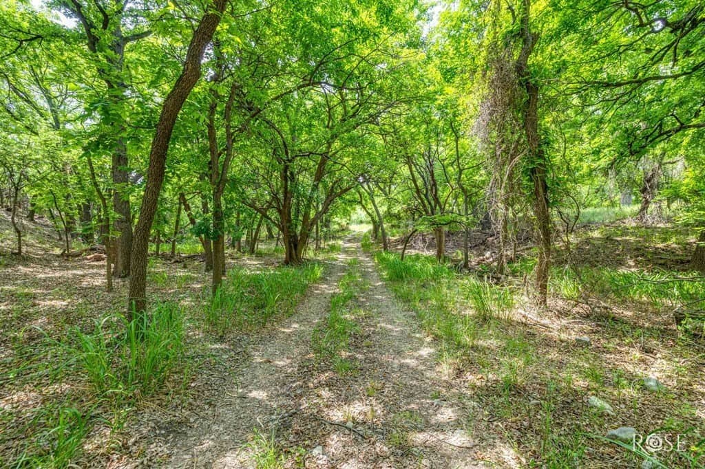 62.46 acres in Tom Green County - photo 13