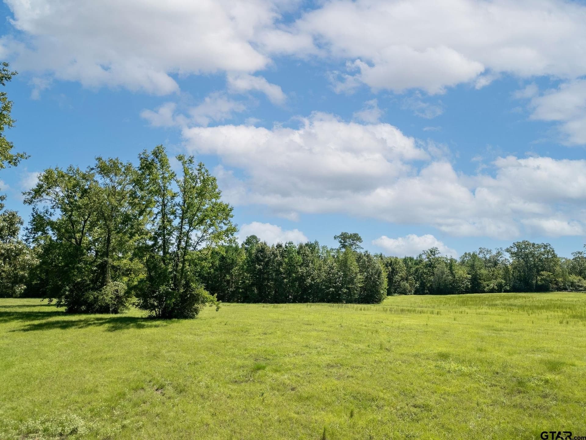 14.7 acres in Upshur County - photo 18