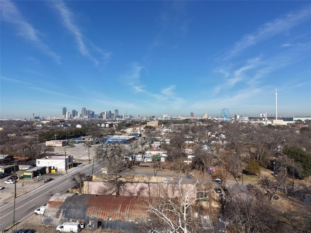 0.16 acres in Dallas County - photo 9