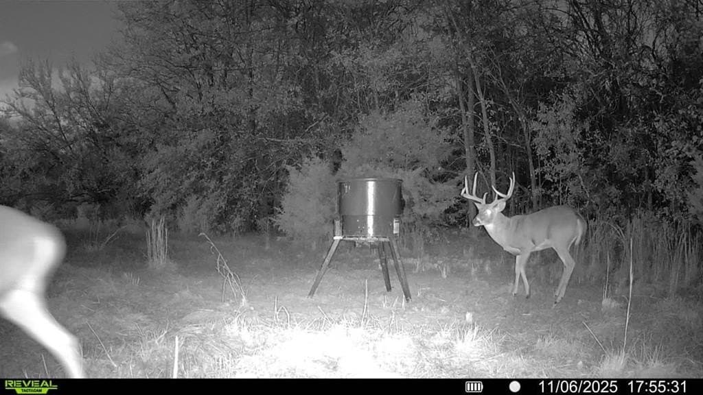 10.56 acres in Fannin County - photo 5