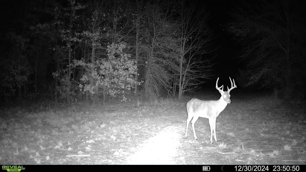 10.56 acres in Fannin County - photo 24