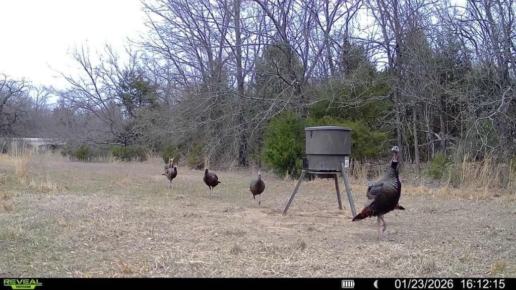10.56 acres in Fannin County - photo 12