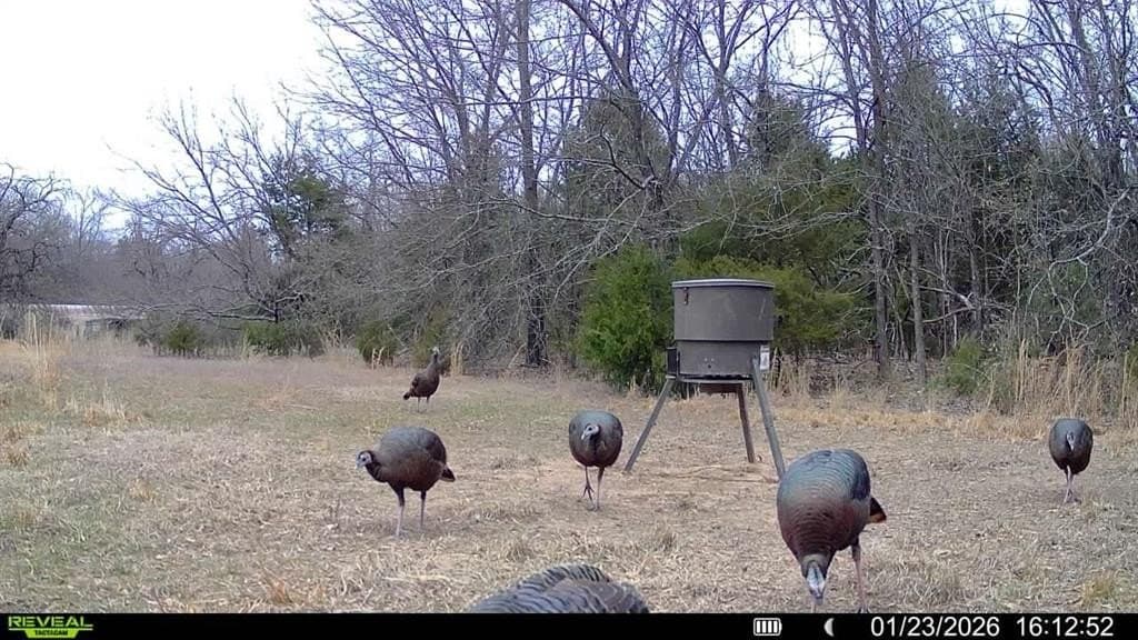 10.56 acres in Fannin County - photo 20