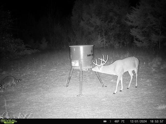 10.56 acres in Fannin County - photo 26