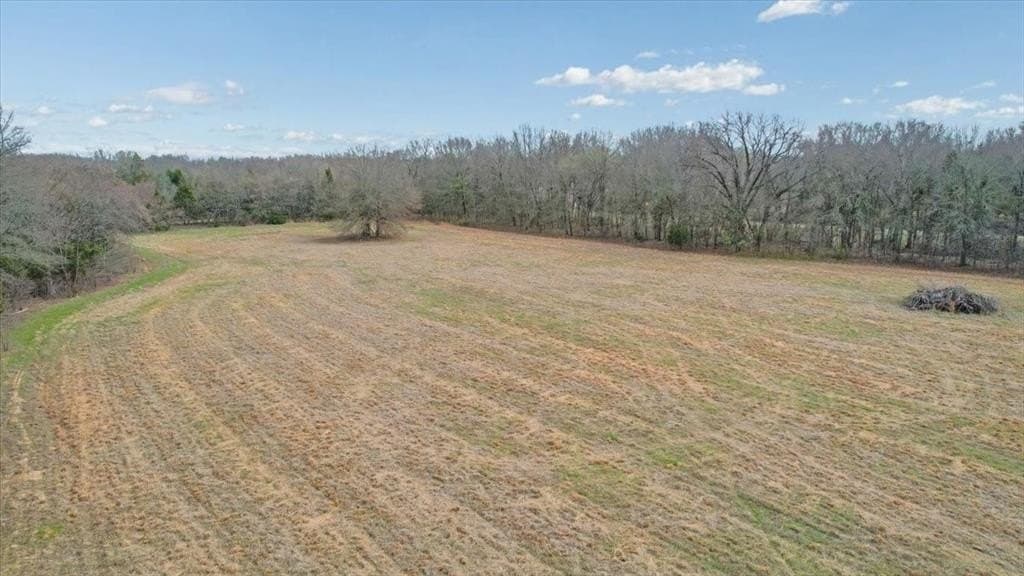 10.56 acres in Fannin County - photo 3