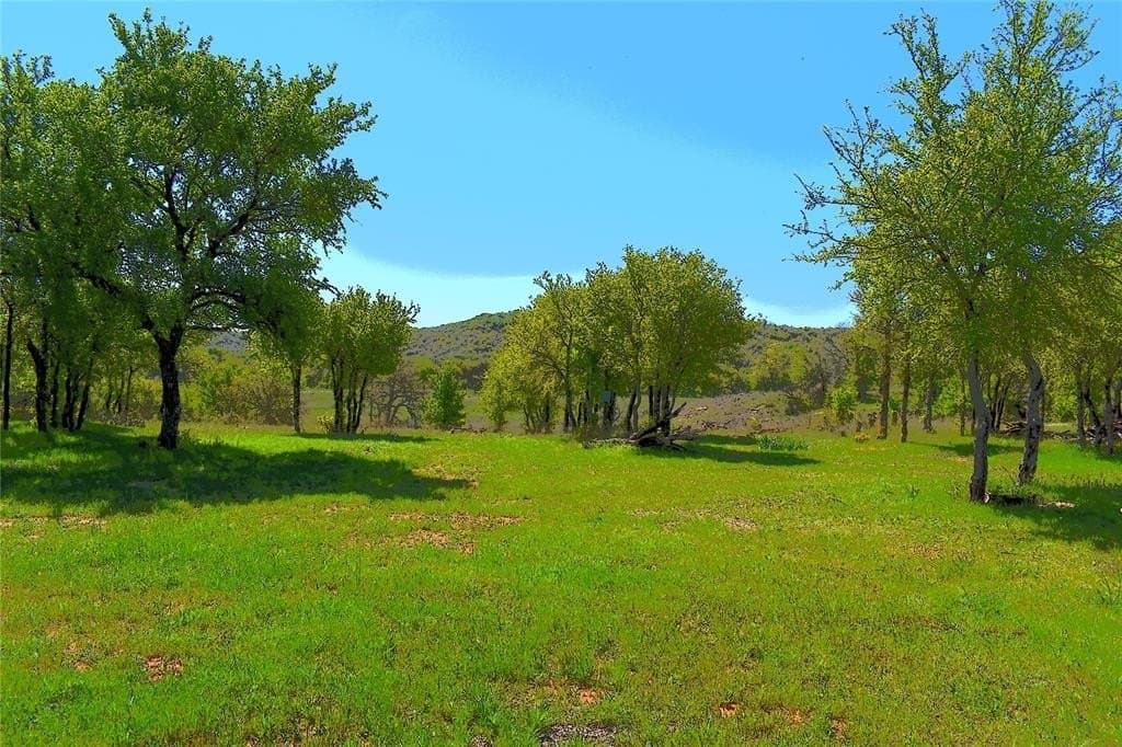 86.94 acres in Jack County - photo 13