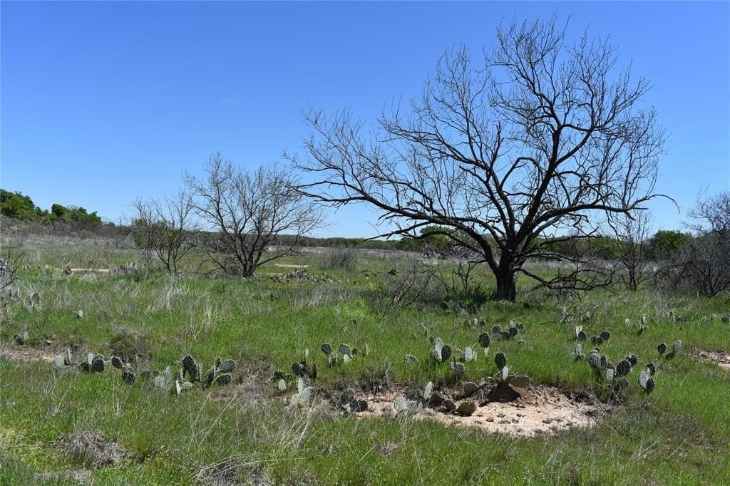 86.94 acres in Jack County - photo 31