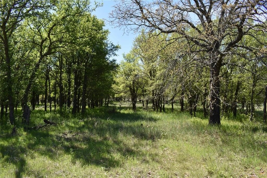 86.94 acres in Jack County - photo 26