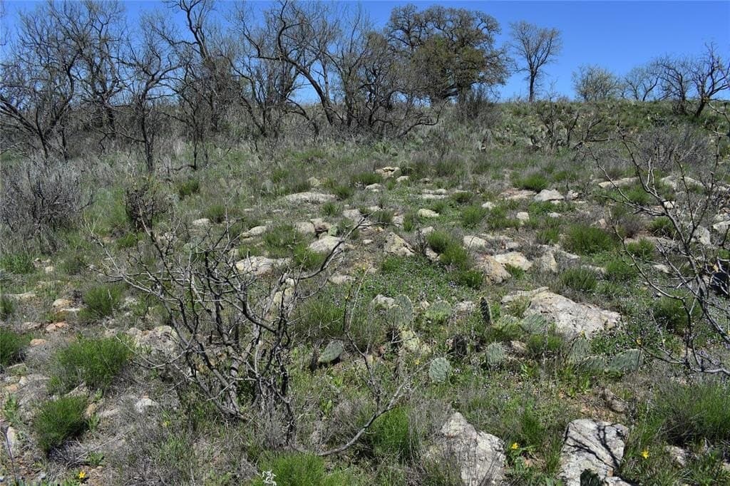 86.94 acres in Jack County - photo 23