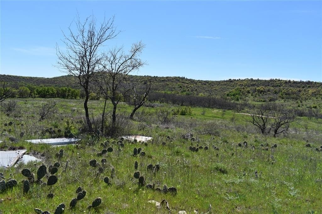 86.94 acres in Jack County - photo 22