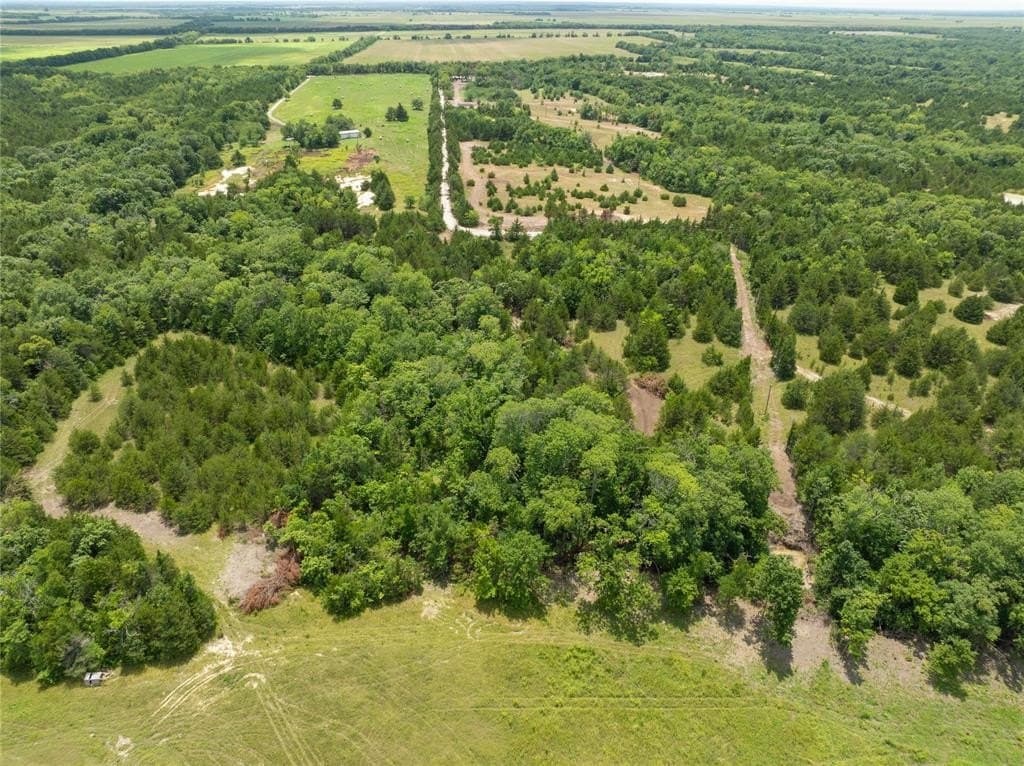 7 acres in Fannin County - photo 6