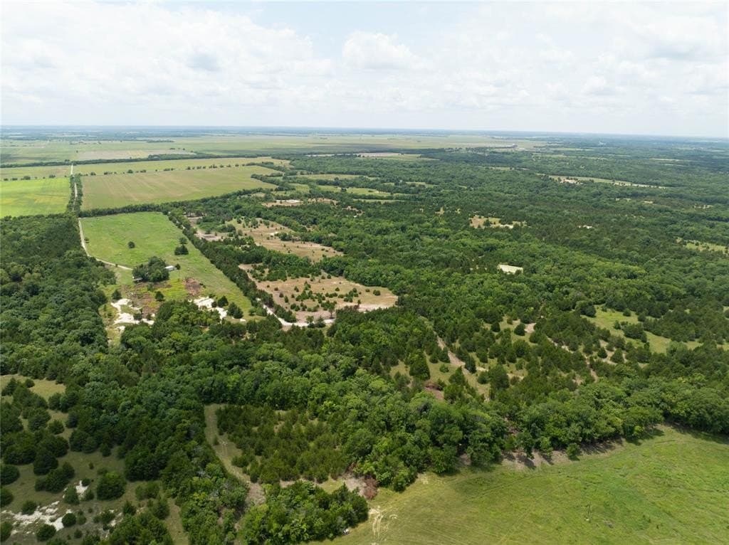 7 acres in Fannin County - photo 9