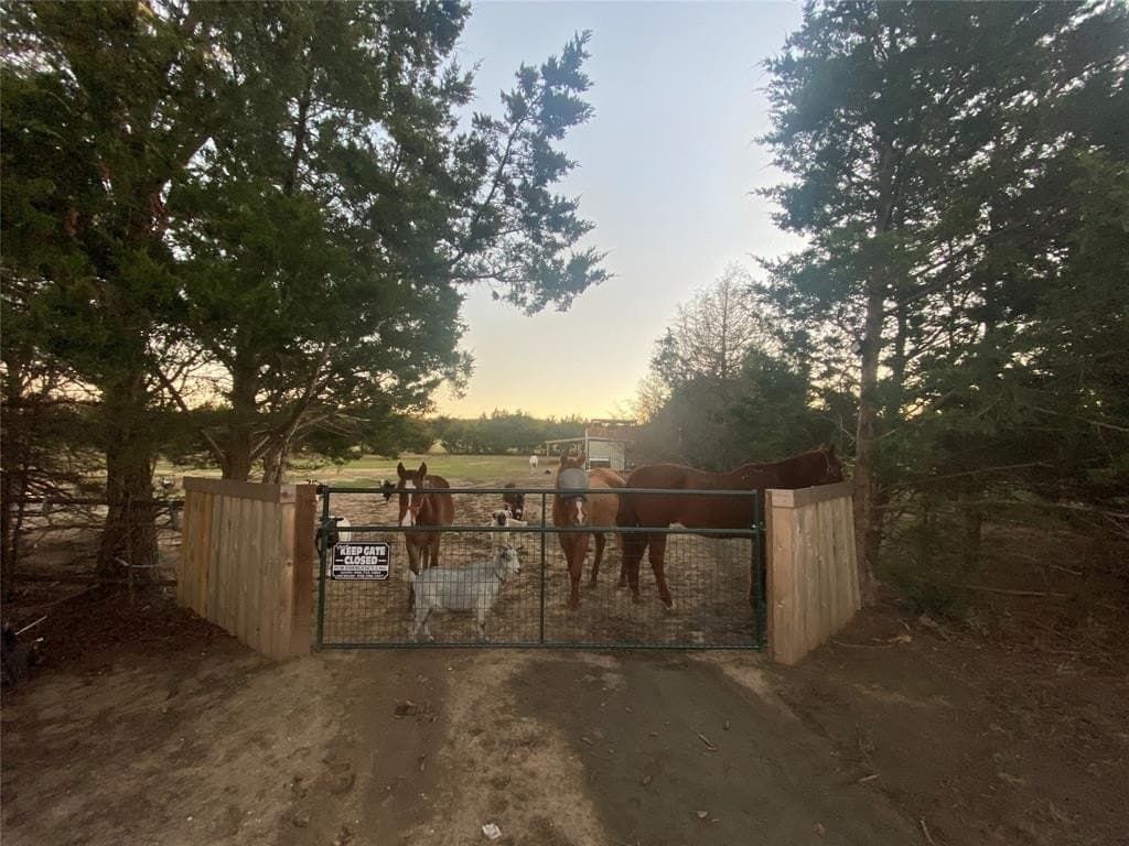 7 acres in Cooke County - photo 3
