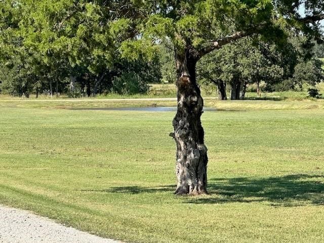 7 acres in Cooke County - photo 39