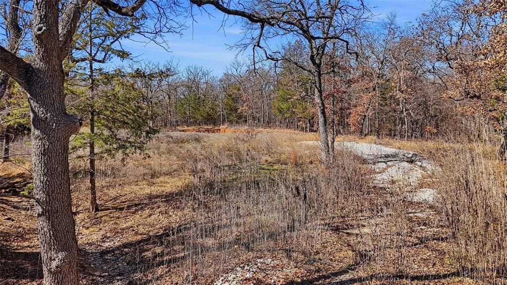 2.01 acres in Cooke County - photo 3