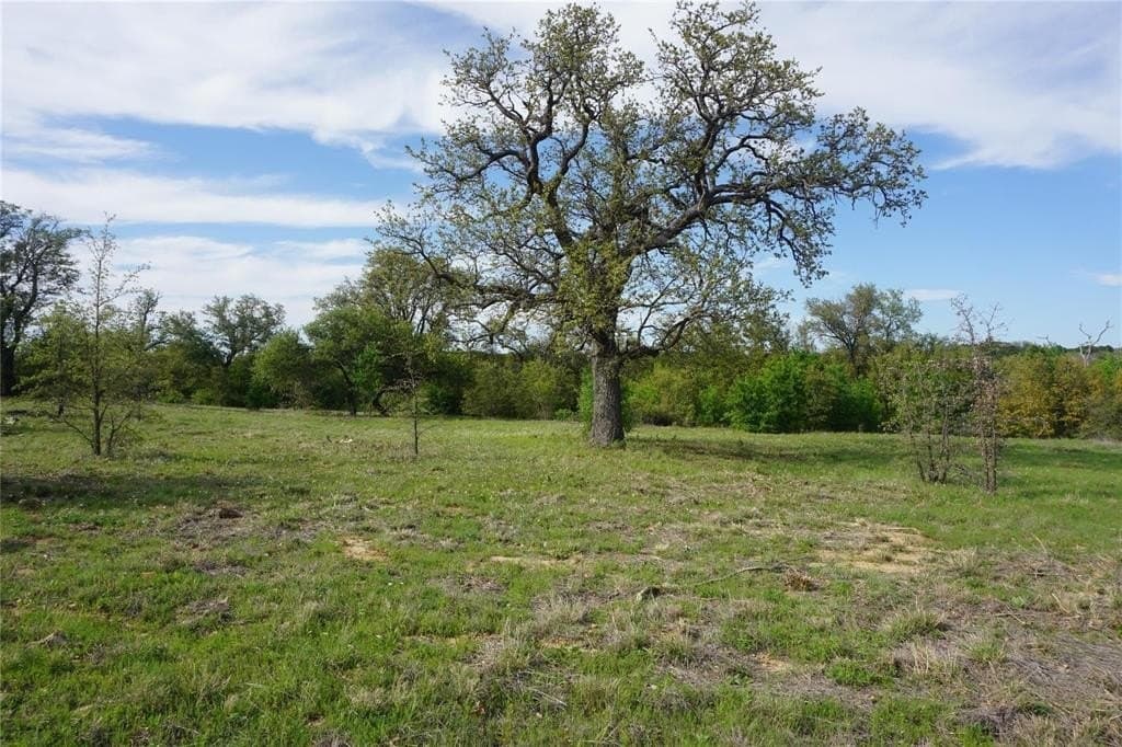 2.01 acres in Palo Pinto County - photo 2