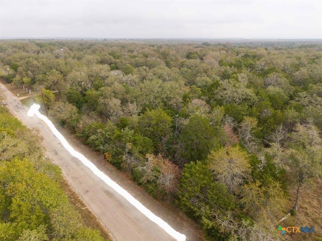 1.99 acres in Bastrop County - photo 7
