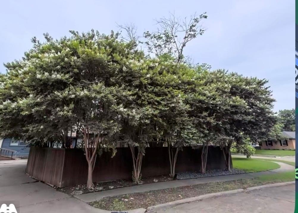 0.27 acres in Dallas County - photo 4