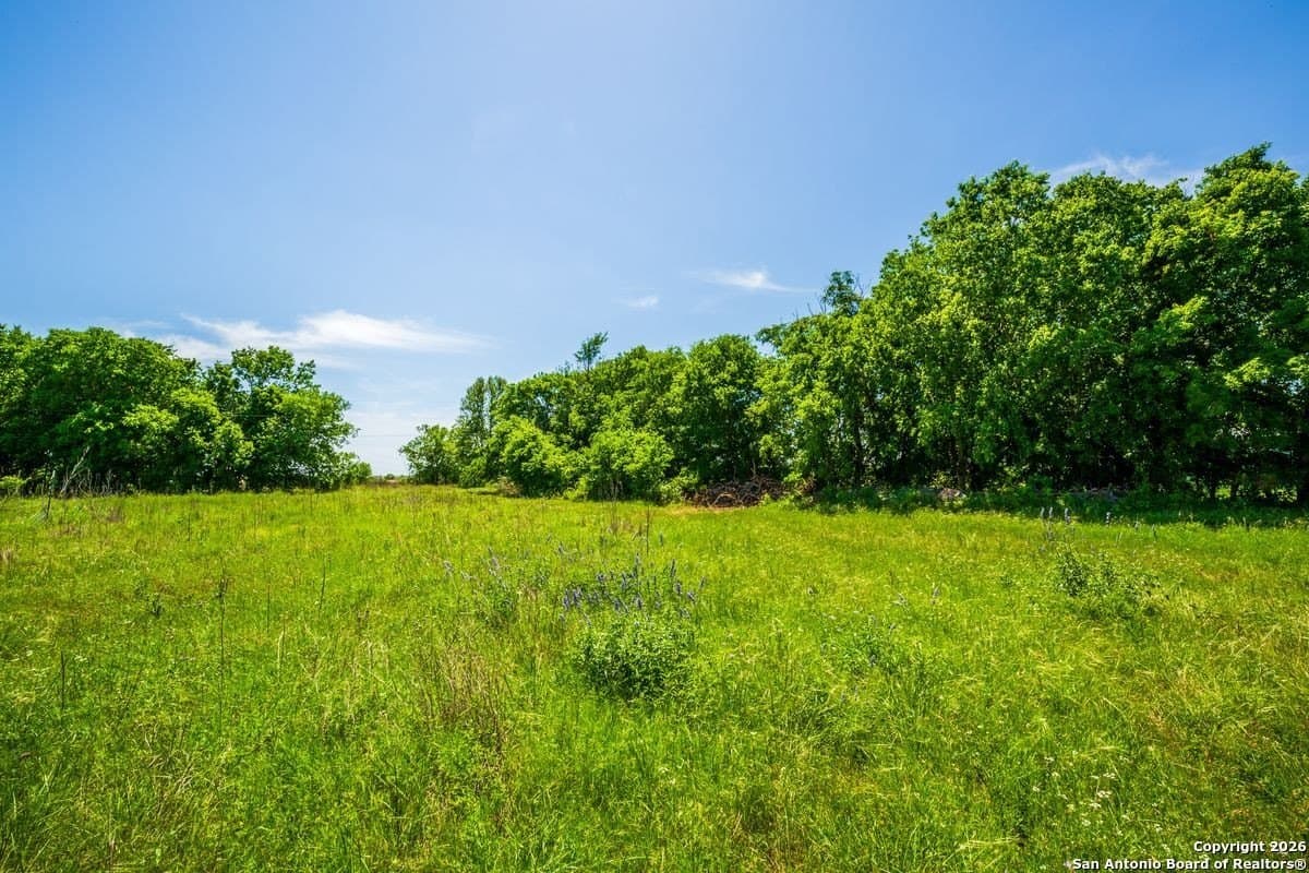 59 acres in Guadalupe County - photo 11