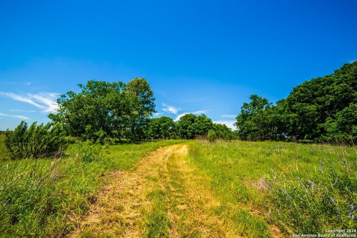 59 acres in Guadalupe County - photo 12