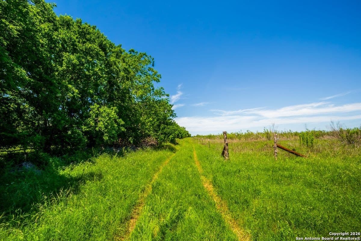 59 acres in Guadalupe County - photo 10