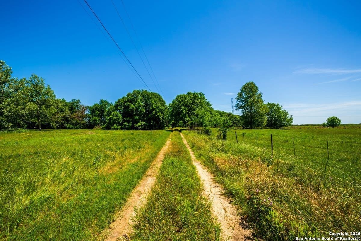 59 acres in Guadalupe County - photo 5
