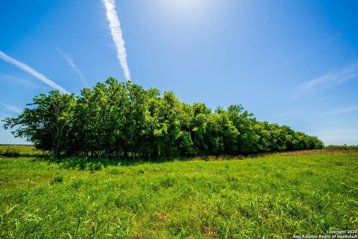 59 acres in Guadalupe County - photo 4