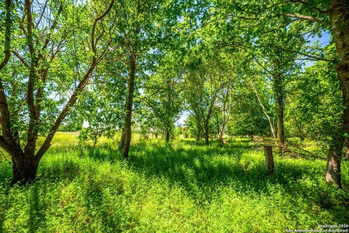 59 acres in Guadalupe County - photo 14