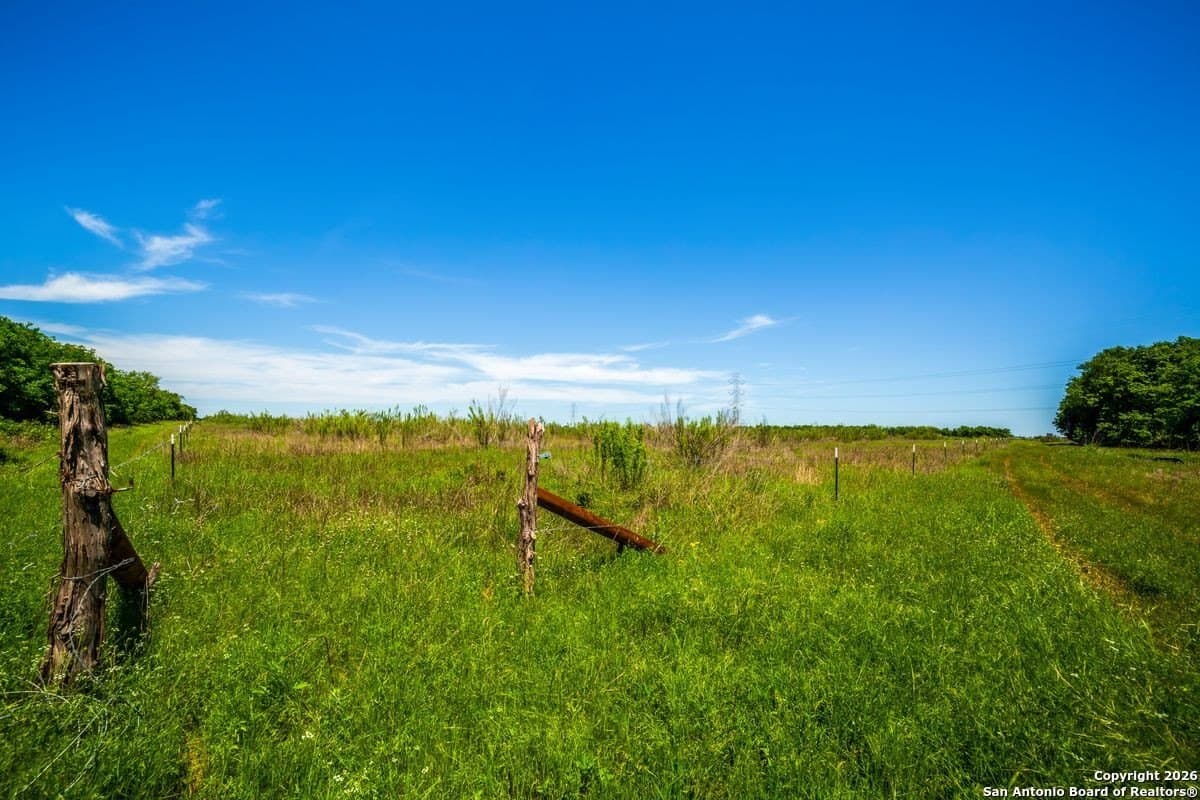 59 acres in Guadalupe County - photo 15