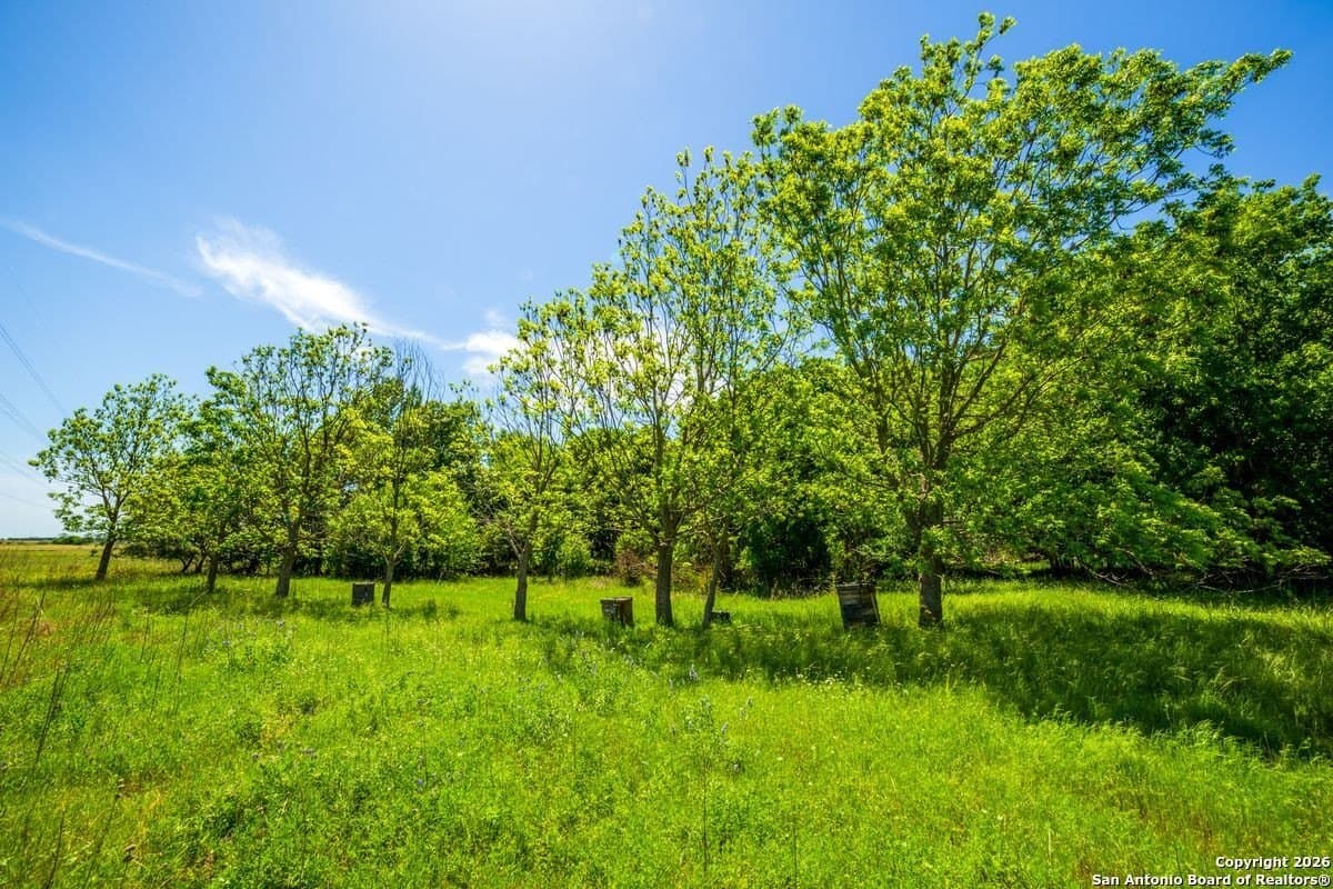 59 acres in Guadalupe County - photo 13