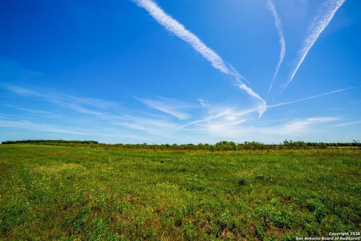 59 acres in Guadalupe County - photo 3