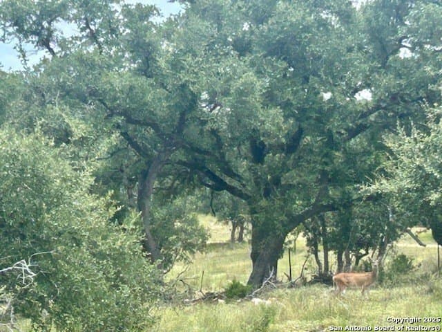 18 acres in Comal County - photo 33