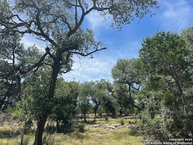 18 acres in Comal County - photo 41