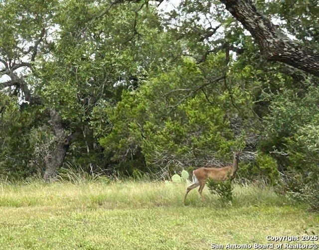 18 acres in Comal County - photo 37
