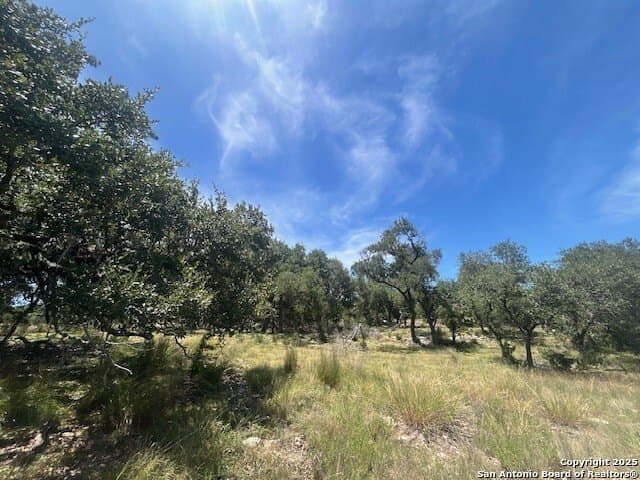 18 acres in Comal County - photo 40