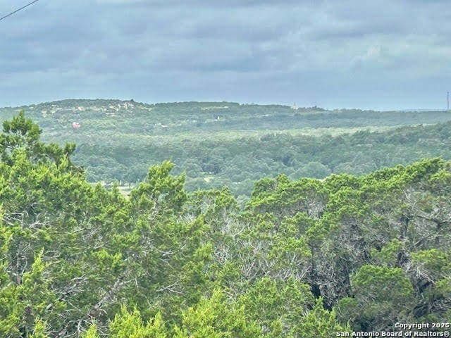 18 acres in Comal County - photo 32