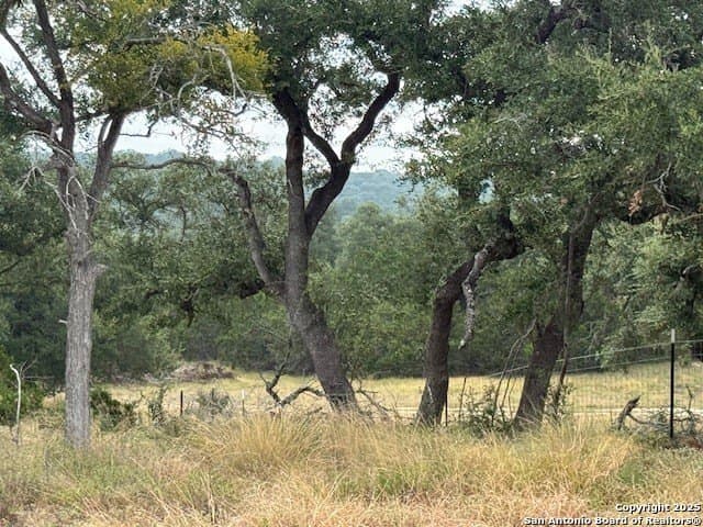 18 acres in Comal County - photo 34