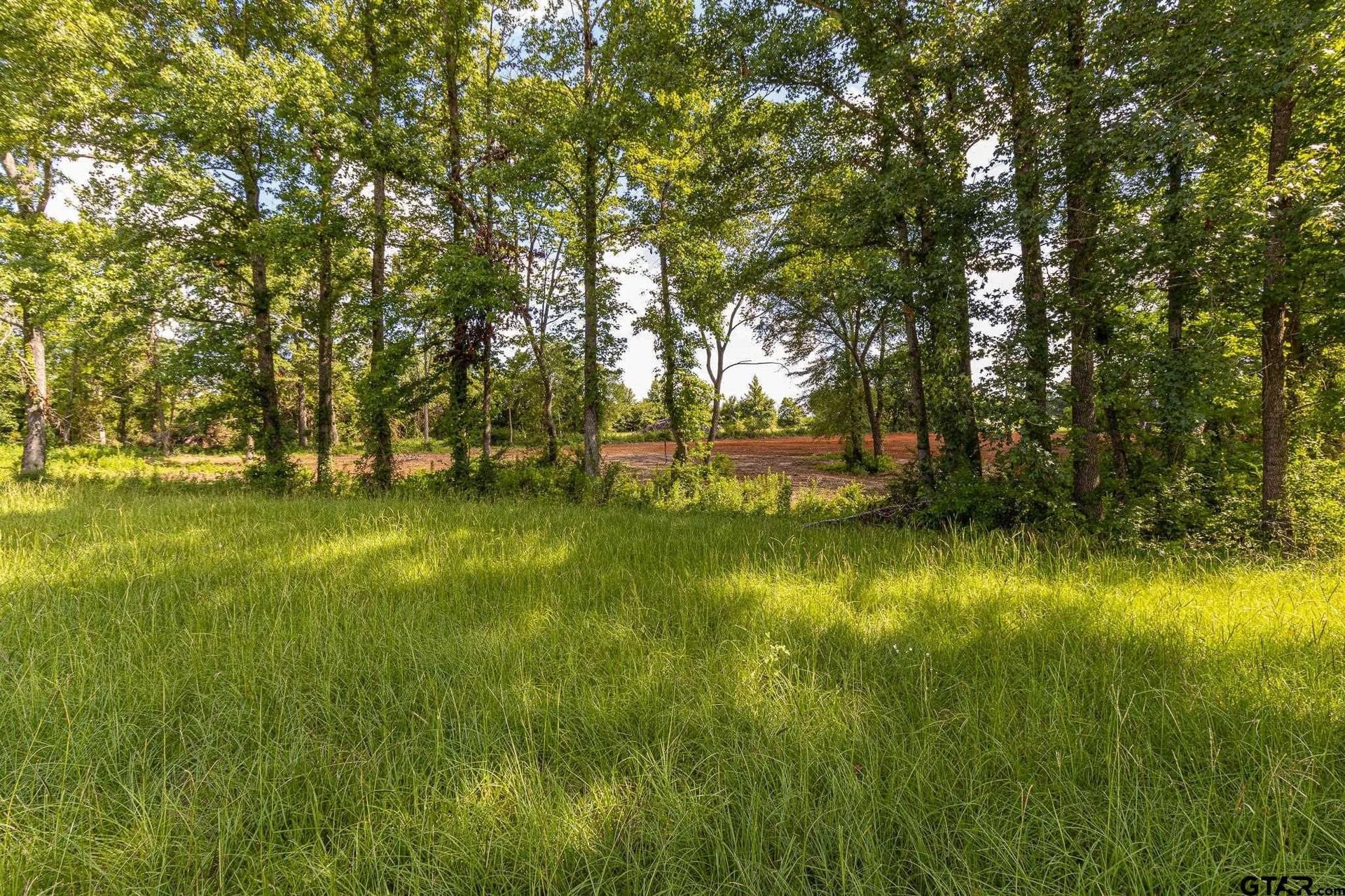 3.35 acres in Smith County - photo 4