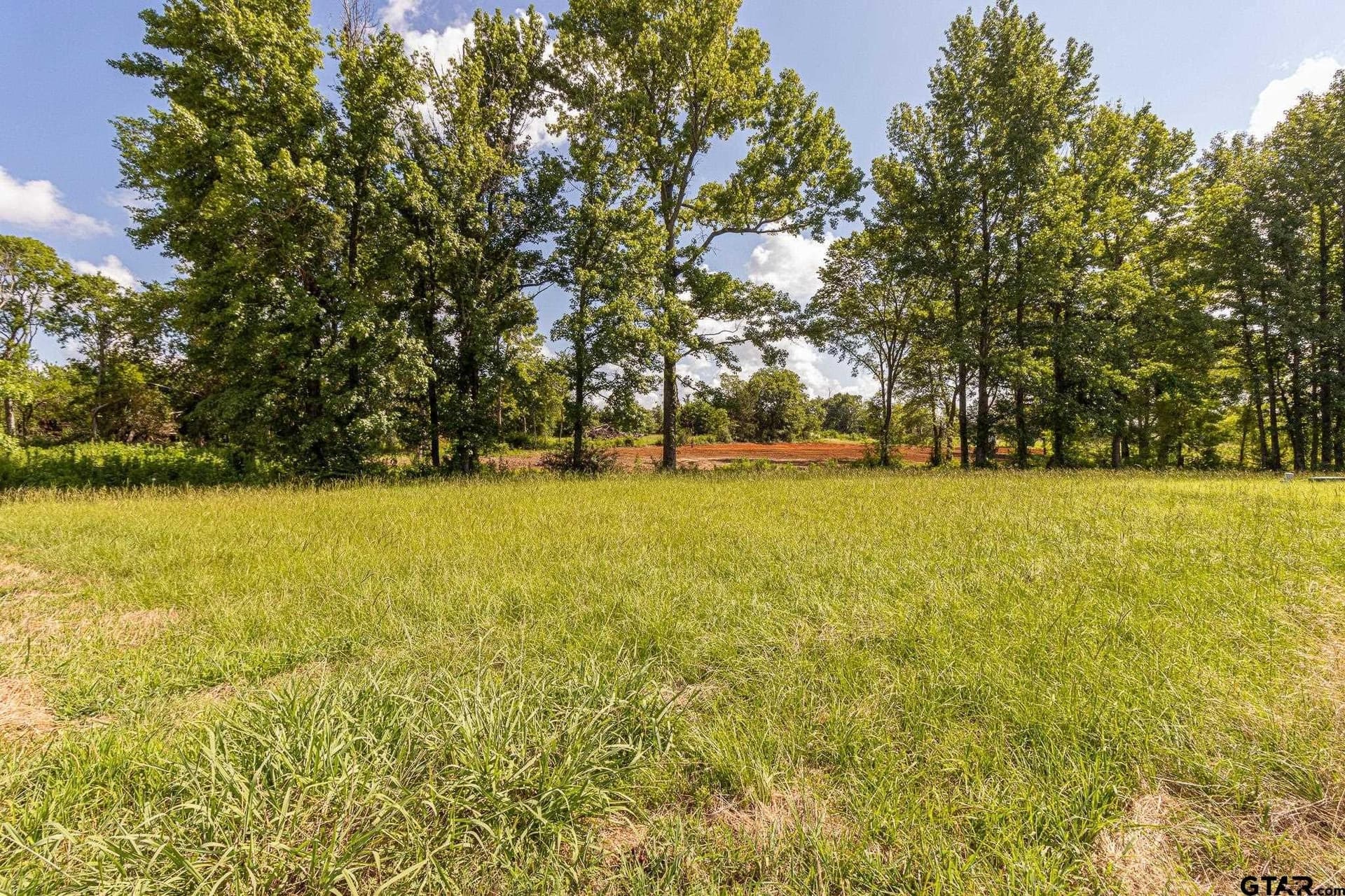 3.35 acres in Smith County - photo 5