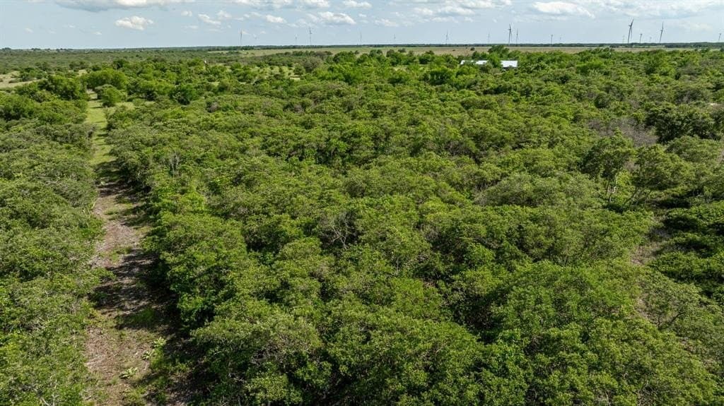 10.01 acres in Mills County - photo 15