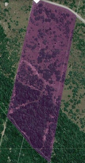 12.13 acres in Duval County - photo 4