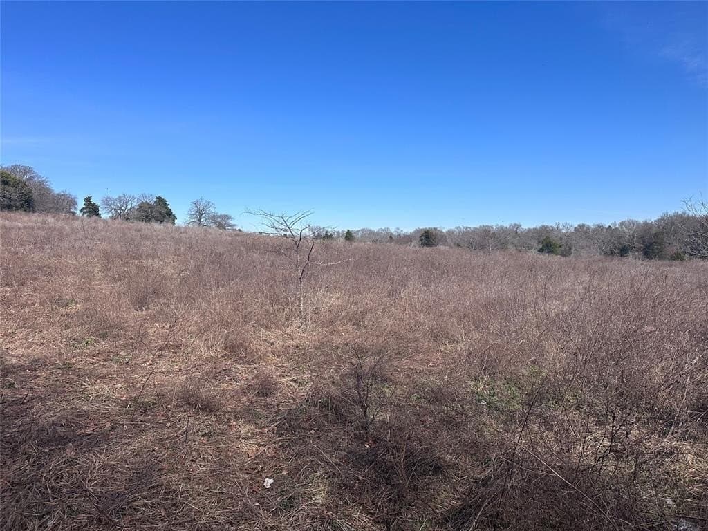 21.5 acres in Henderson County - photo 6