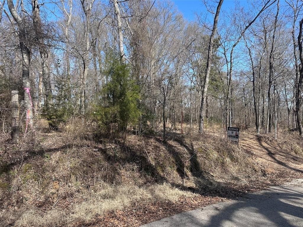 21.5 acres in Henderson County - photo 11