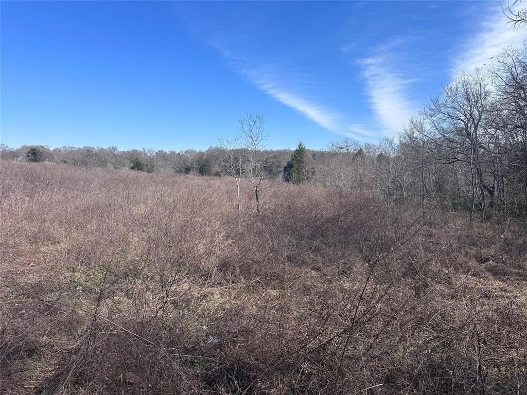 21.5 acres in Henderson County - photo 8